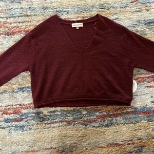 Womens Willow&Wind v neck cropped top sweater size large NWT